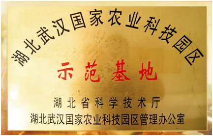 腾博汇游戏官网·(中国)专业服务,诚信为本