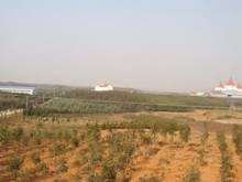 腾博汇游戏官网·(中国)专业服务,诚信为本