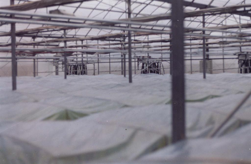 腾博汇游戏官网·(中国)专业服务,诚信为本