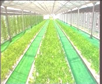 腾博汇游戏官网·(中国)专业服务,诚信为本