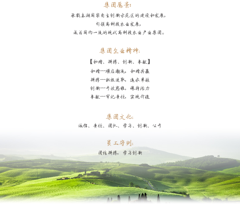 腾博汇游戏官网·(中国)专业服务,诚信为本