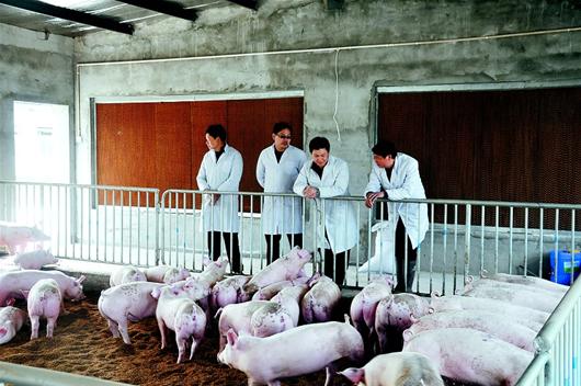 腾博汇游戏官网·(中国)专业服务,诚信为本