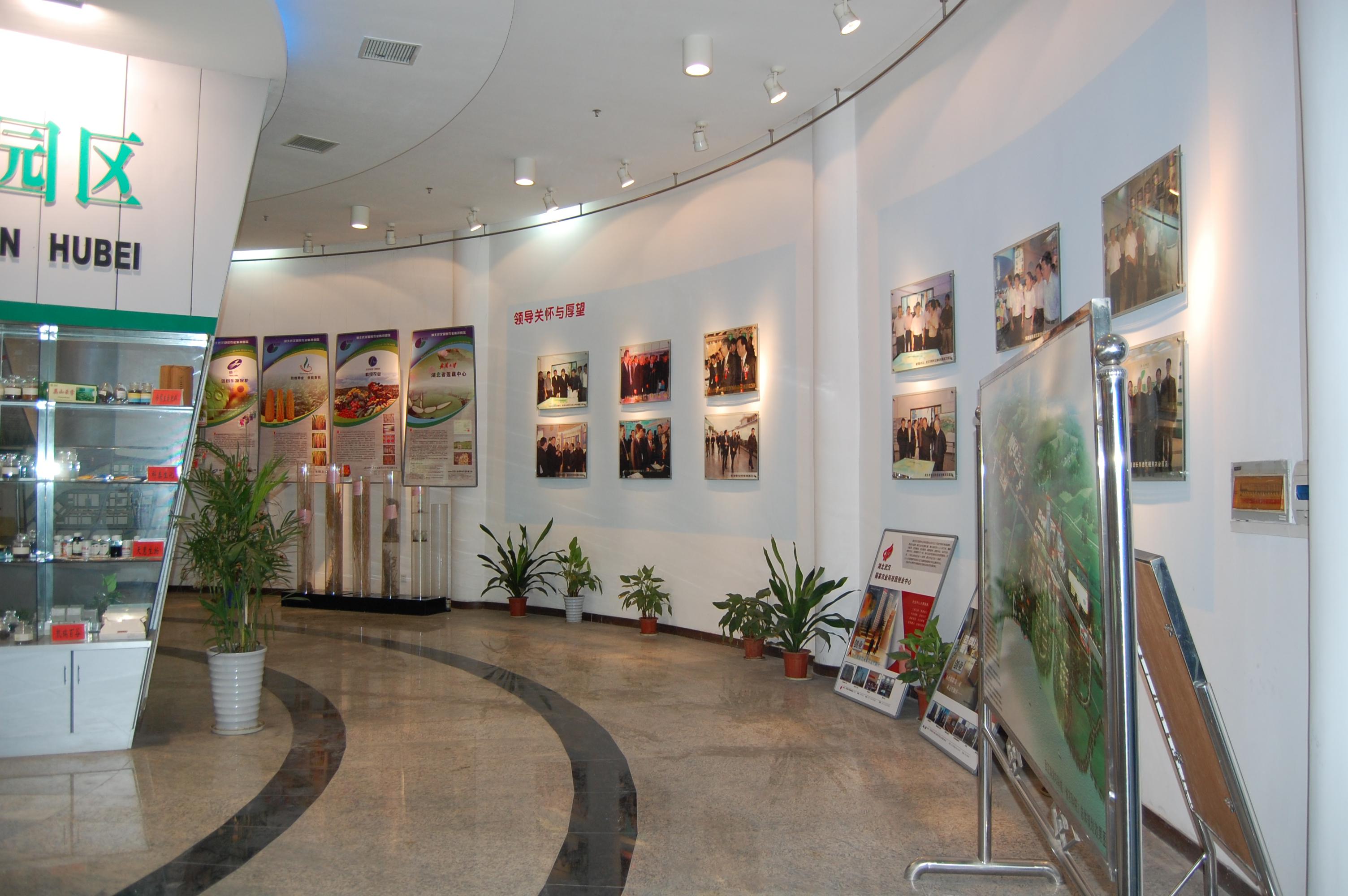 腾博汇游戏官网·(中国)专业服务,诚信为本