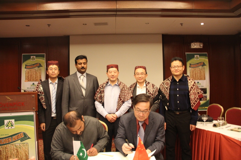 腾博汇游戏官网·(中国)专业服务,诚信为本