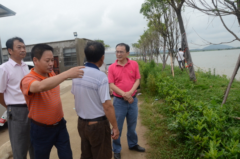 腾博汇游戏官网·(中国)专业服务,诚信为本