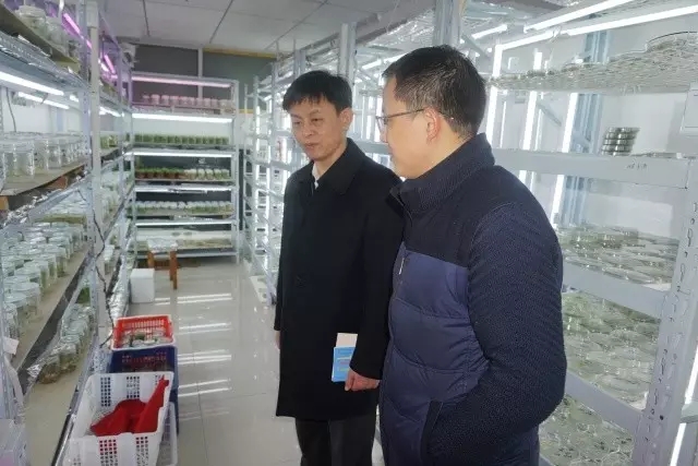 腾博汇游戏官网·(中国)专业服务,诚信为本