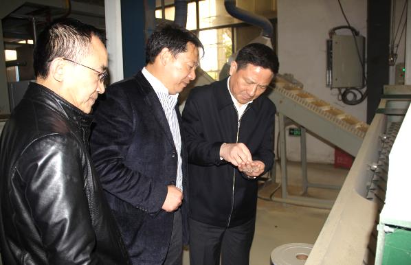 腾博汇游戏官网·(中国)专业服务,诚信为本