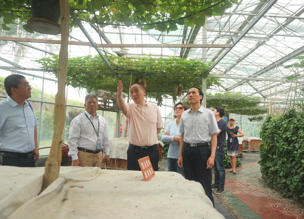 腾博汇游戏官网·(中国)专业服务,诚信为本