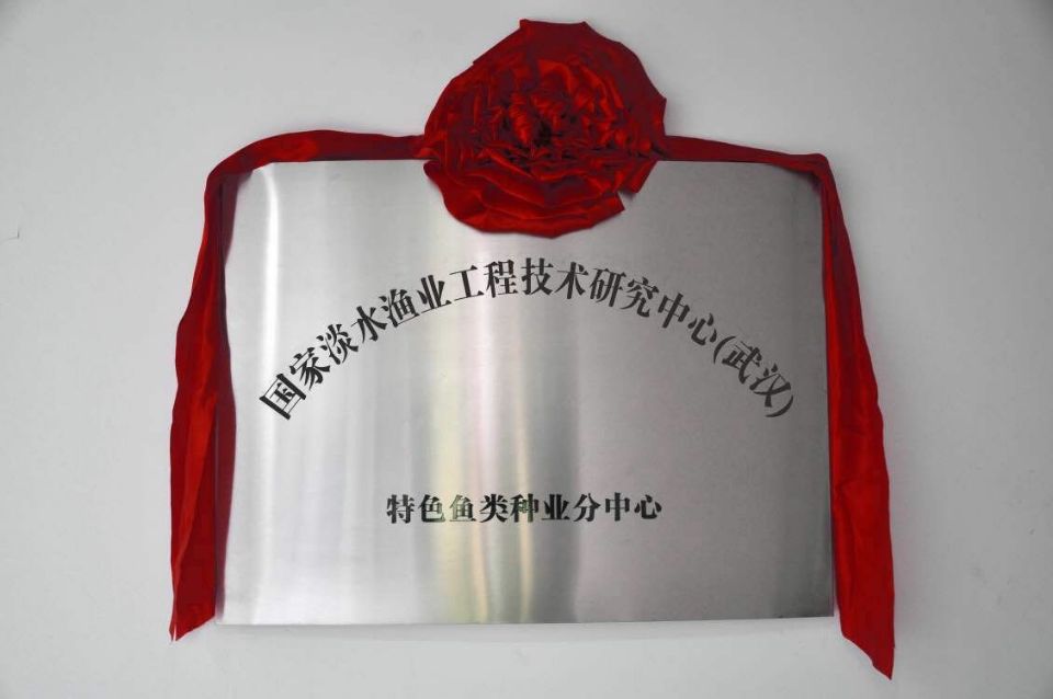 腾博汇游戏官网·(中国)专业服务,诚信为本