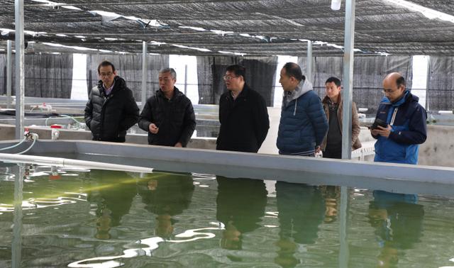 腾博汇游戏官网·(中国)专业服务,诚信为本