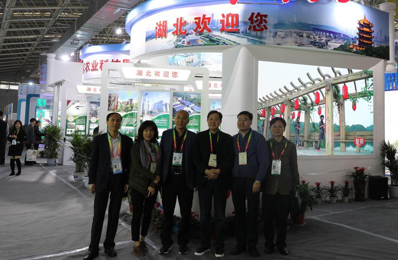 腾博汇游戏官网·(中国)专业服务,诚信为本