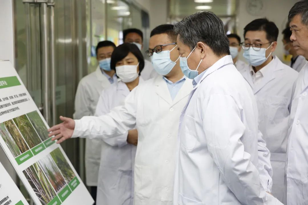 腾博汇游戏官网·(中国)专业服务,诚信为本